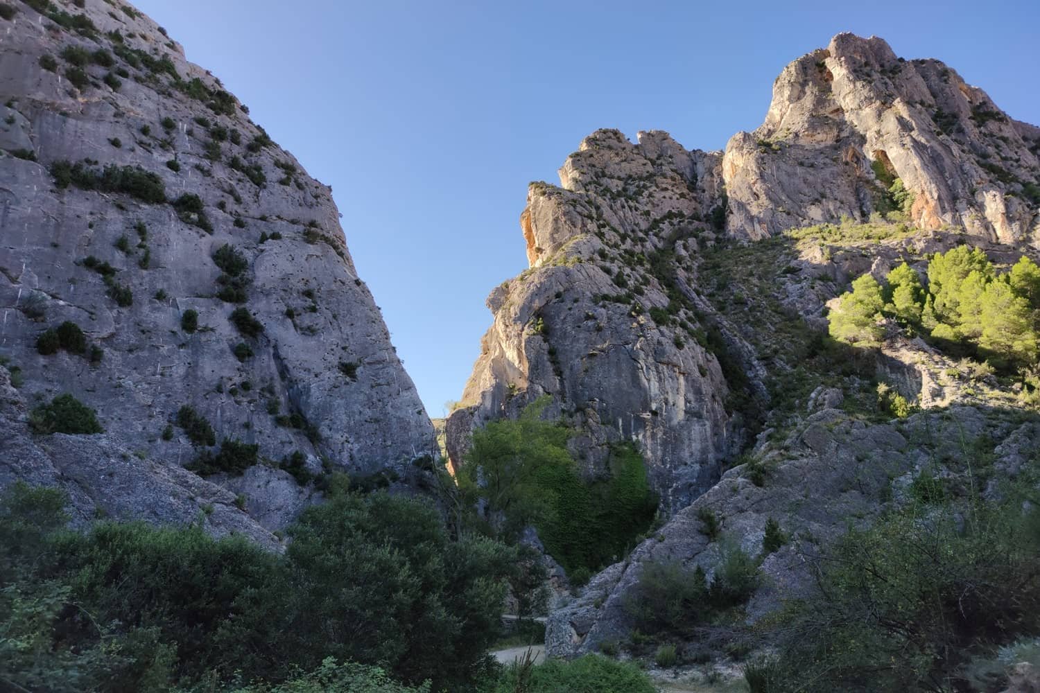Excursiones por la Naturaleza y Escalada